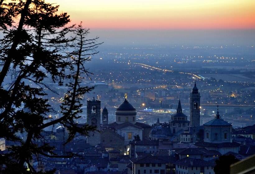 Arli Hotel Business And Wellness