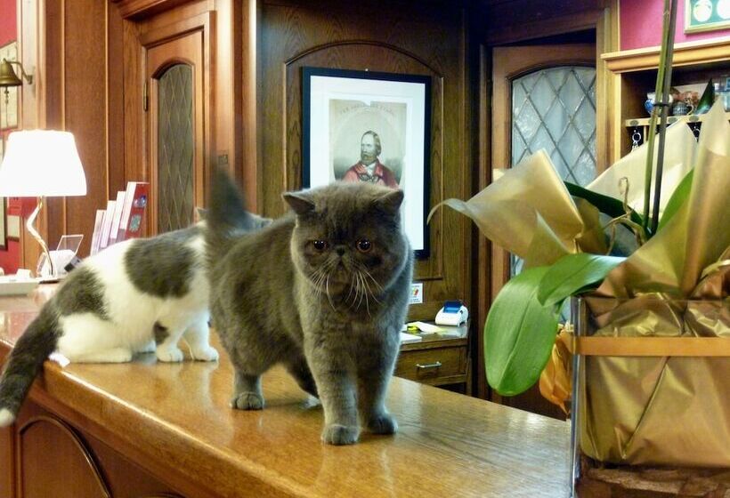 هتل Citta Dei Mille