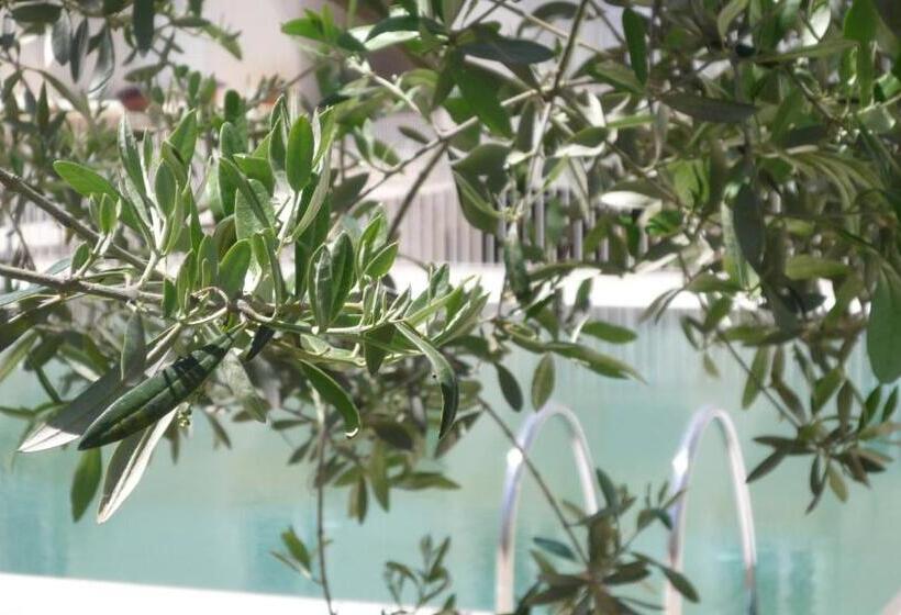 Отель Colle Del Sole