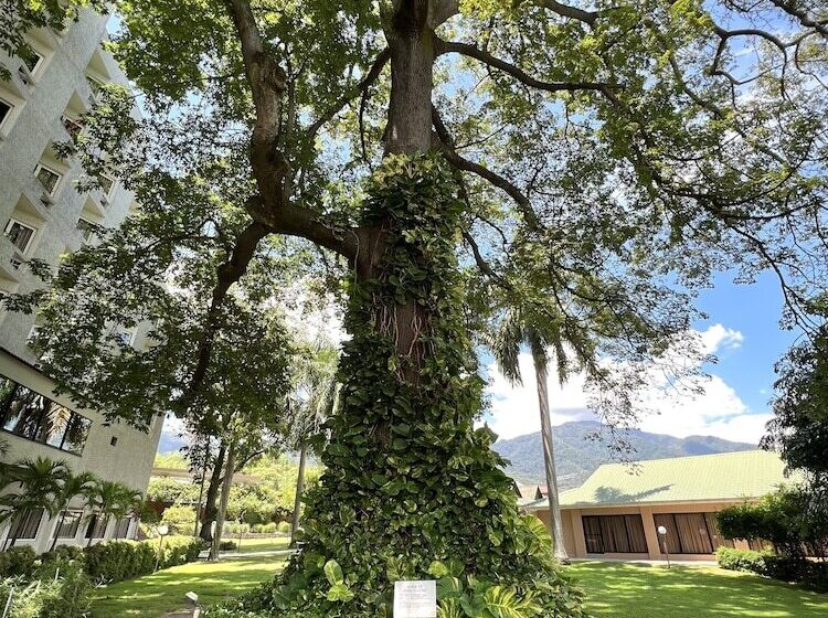 Copantl Hotel & Convention Center