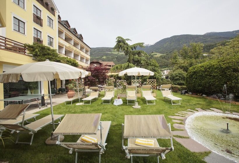 Dominik Alpine City Wellness Hotel   Adults Only