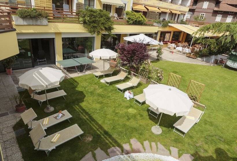 Dominik Alpine City Wellness Hotel   Adults Only