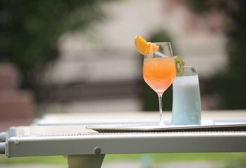 Dominik Alpine City Wellness Hotel   Adults Only