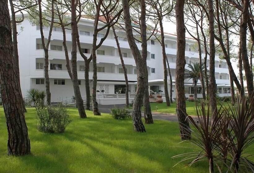 酒店 Domizia Palace