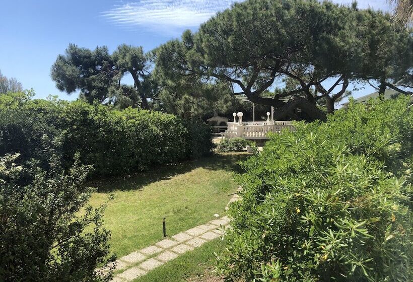 فندق Domizia Palace