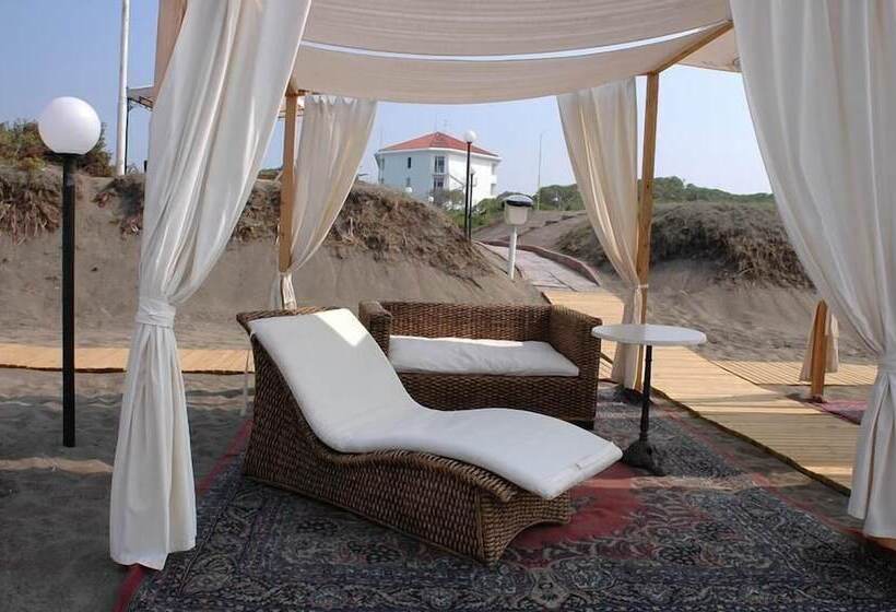 酒店 Domizia Palace