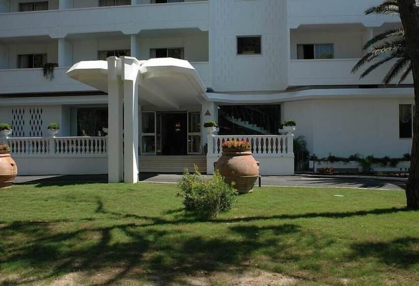 酒店 Domizia Palace