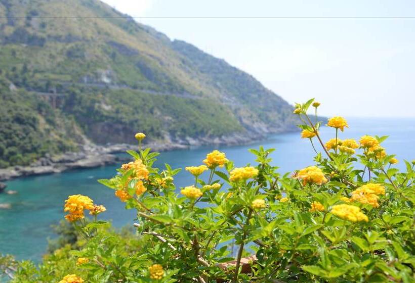 ホテル E Spa Villa Del Mare   Adult Only