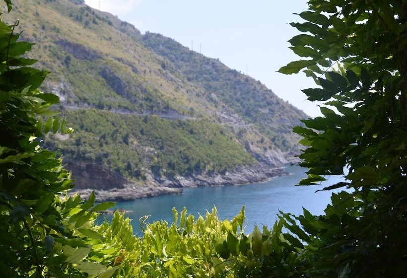 ホテル E Spa Villa Del Mare   Adult Only