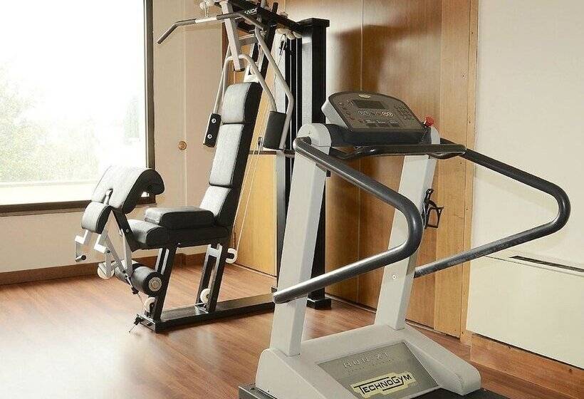 فندق Forum Palace