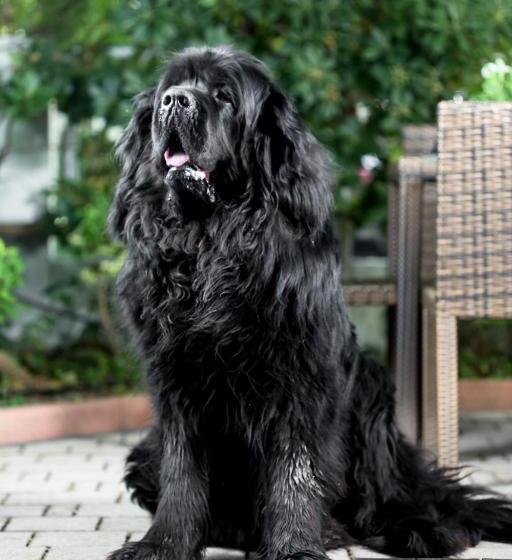 בית מלון כפרי Gianlore