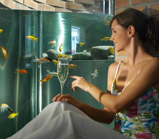 בית מלון כפרי Krone Eat Drink Stay