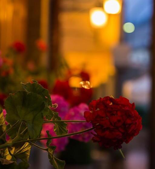 בית מלון כפרי La Rosa