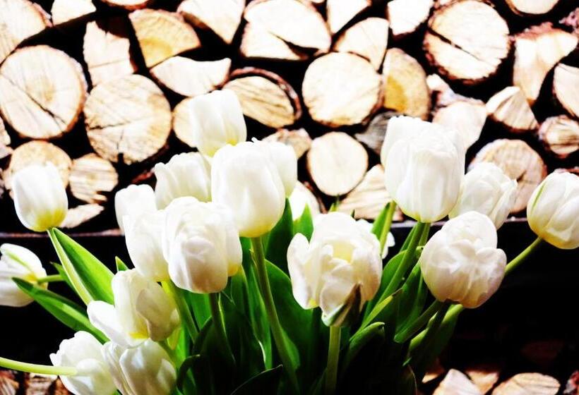 호텔 Les Neiges D'antan