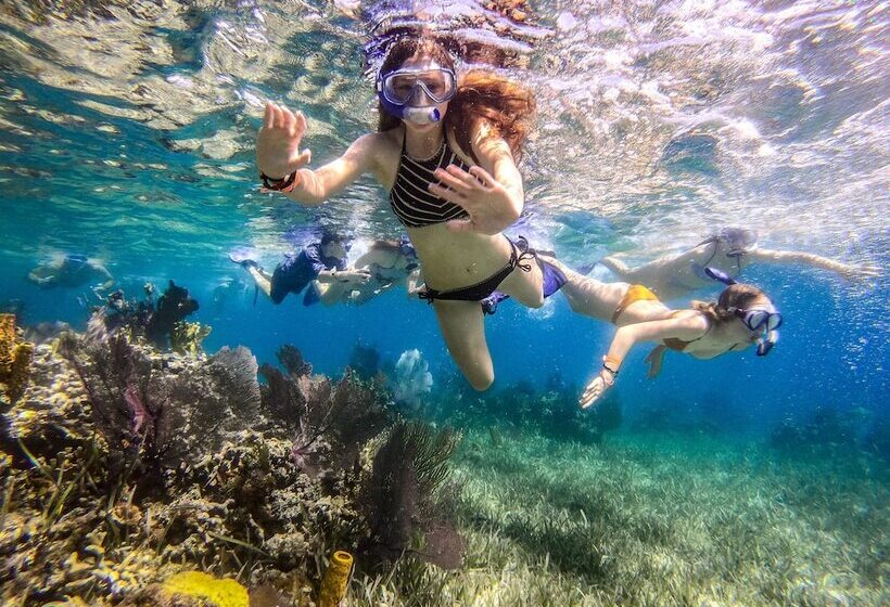 هتل Moulin Sur Mer