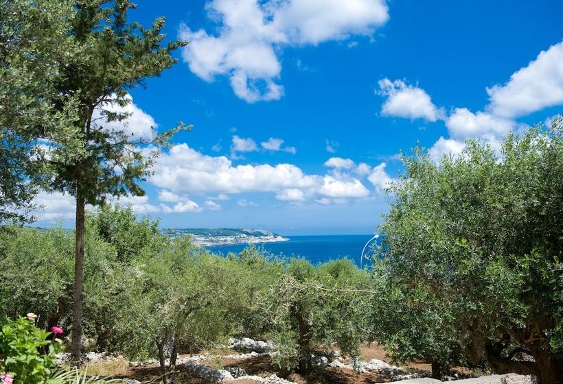 فندق Orsa Maggiore