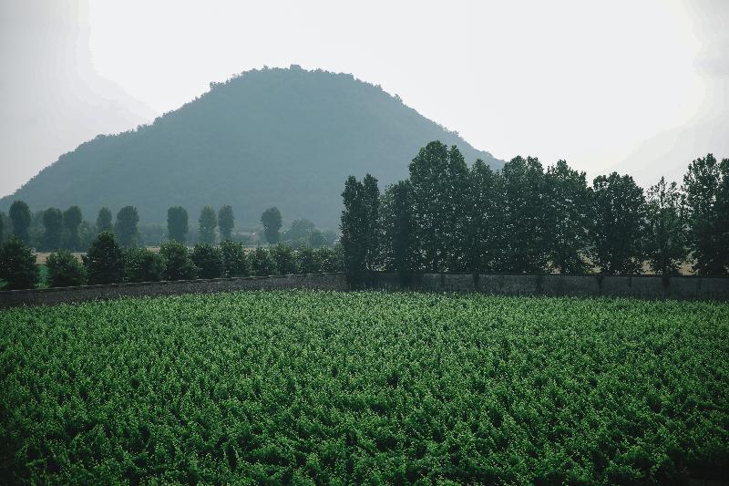 فندق President Terme