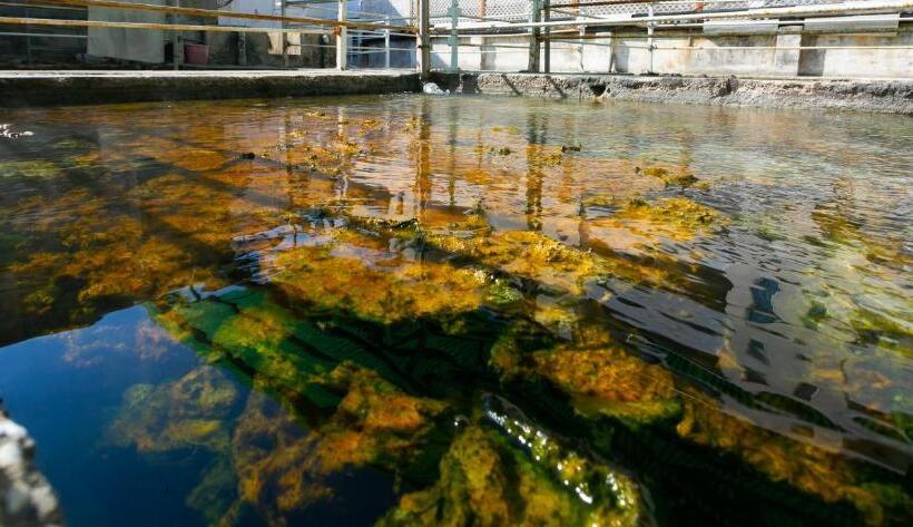 בית מלון כפרי Quisisana