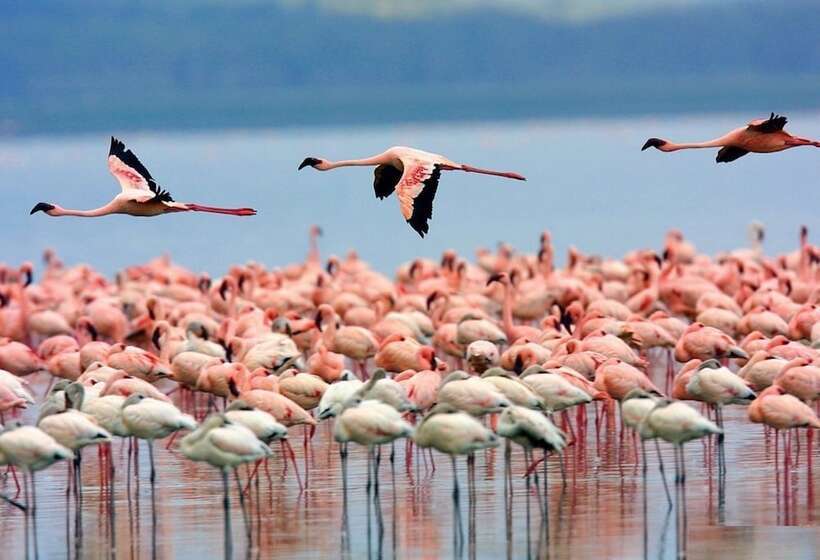 Sardegna Hotel Suites & Restaurant