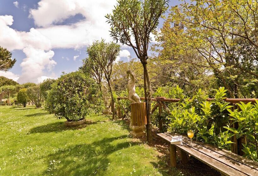 בית מלון כפרי Scapolatiello