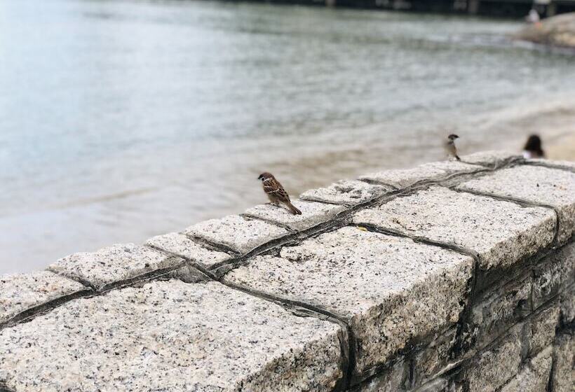 فندق Silvermine Beach Resort