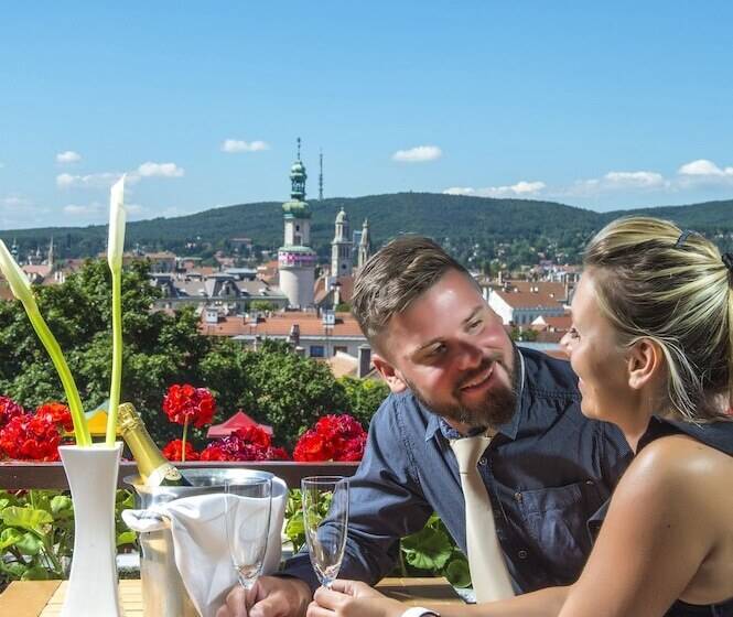 Отель Sopron