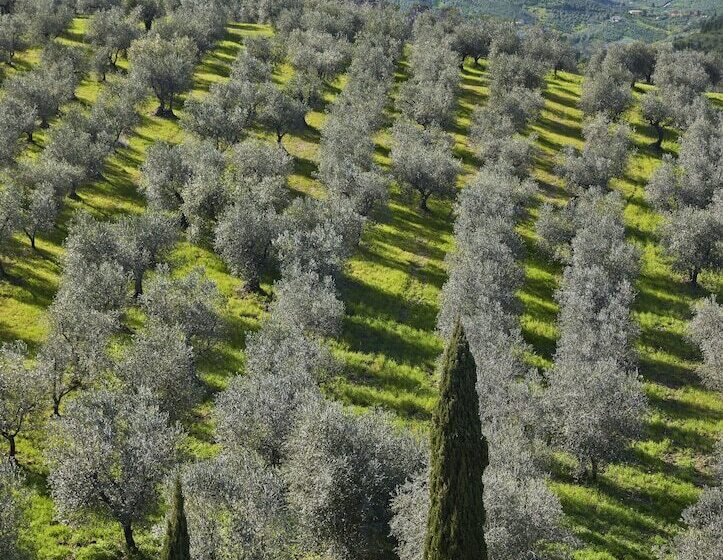 فندق Tenuta Di Artimino Member Of Meliá Collection Wine Resort