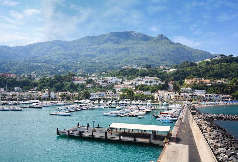 Отель Gran Paradiso