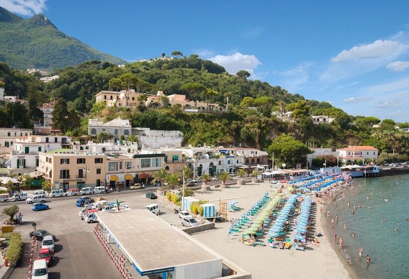 Отель Gran Paradiso