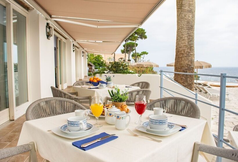 Отель Gran Paradiso