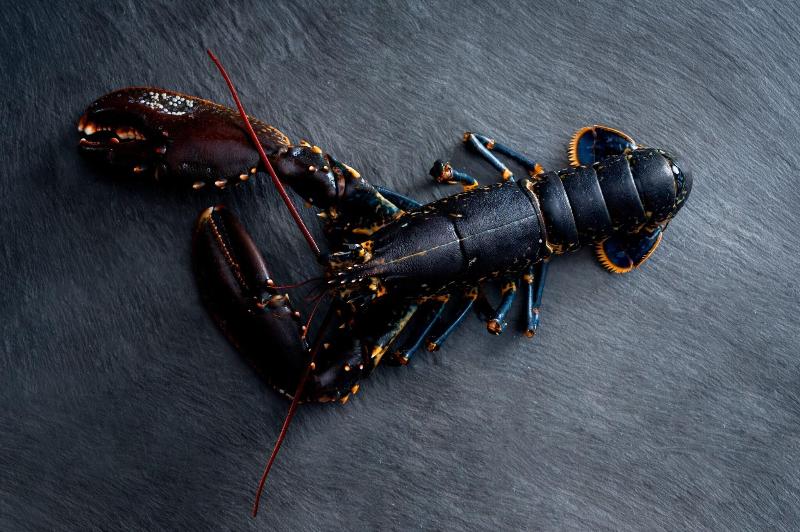 هتل The Ritz Carlton Hong Kong