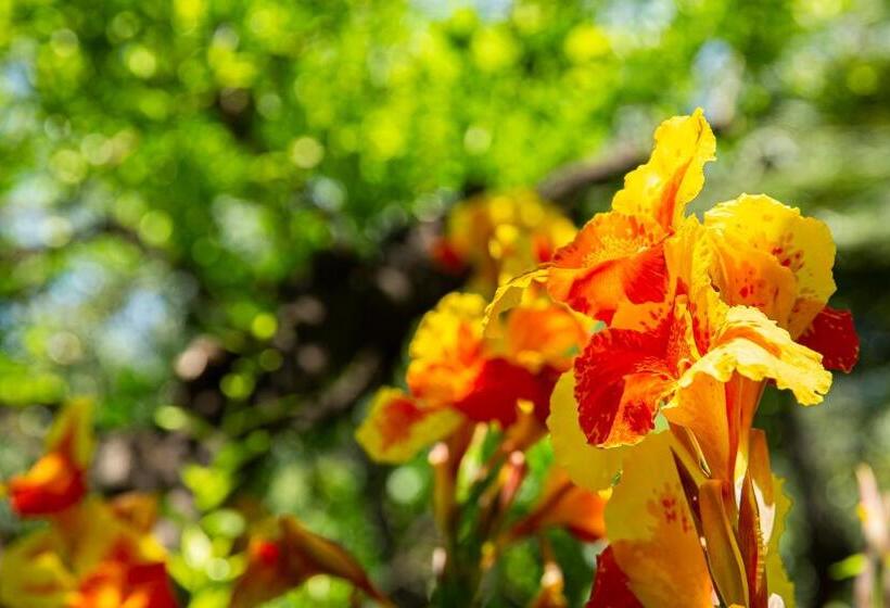 酒店 Villa Elisa & Spa