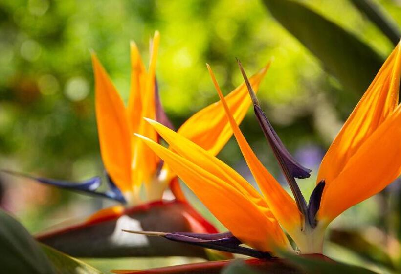 酒店 Villa Elisa & Spa