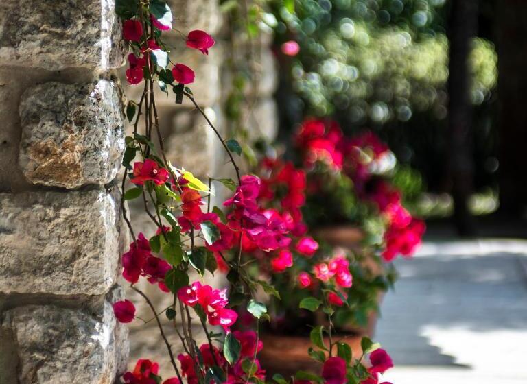 Augustus Hotel & Resort