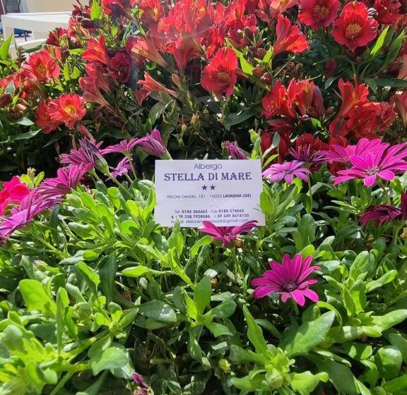 فندق Albergo Stella Di Mare