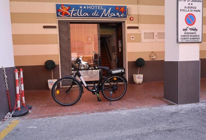 فندق Albergo Stella Di Mare