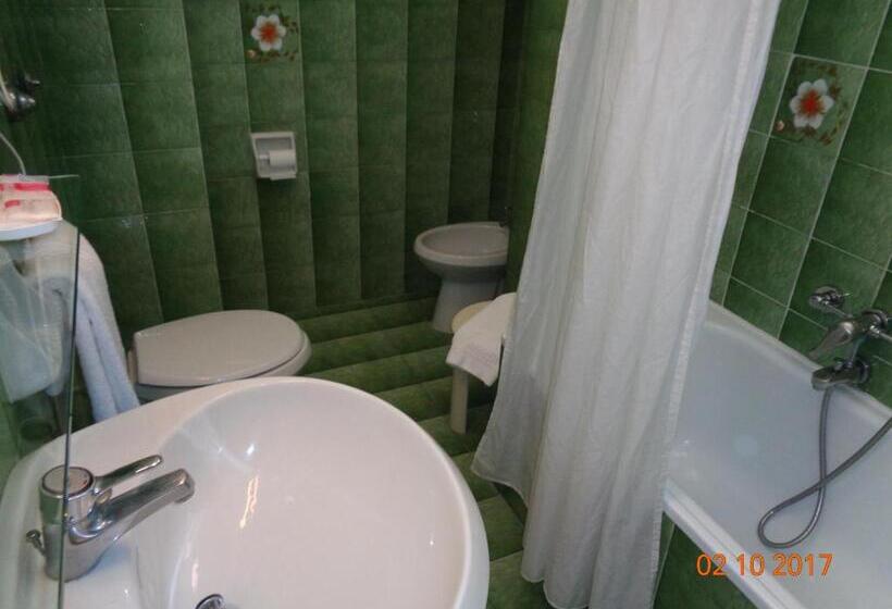 Отель Ambasciatori Palace