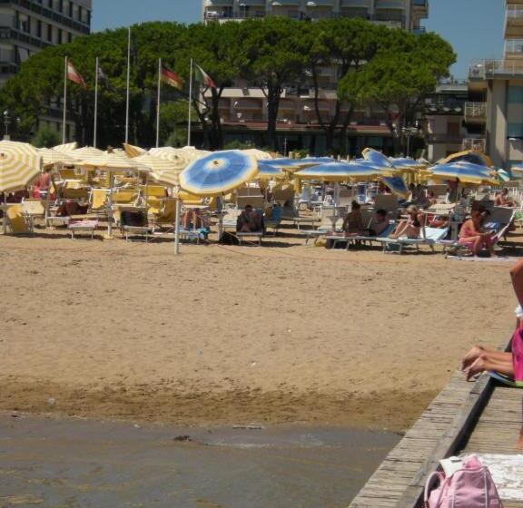 Отель Ambasciatori Palace