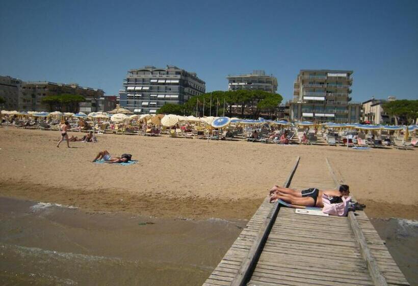 Отель Ambasciatori Palace