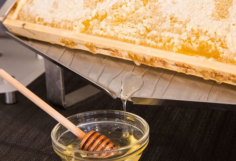 هتل Best Western Plus Chc Florence