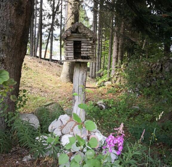 Отель Bonapace S