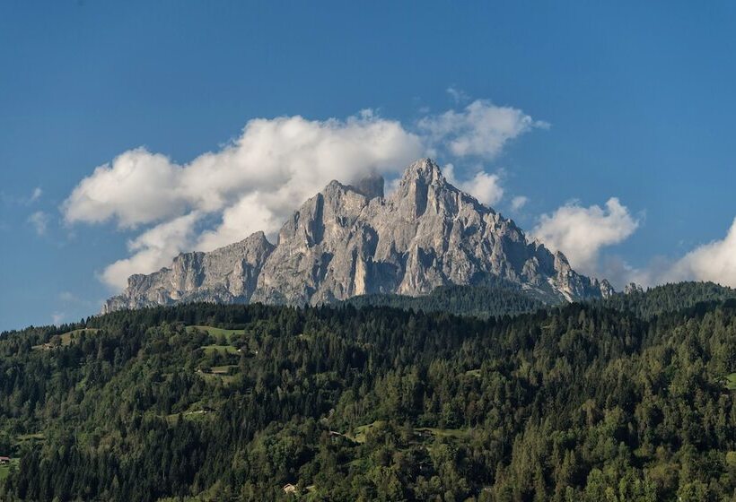 ホテル Brunet  The Dolomites Resort