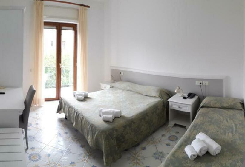 فندق Central Park