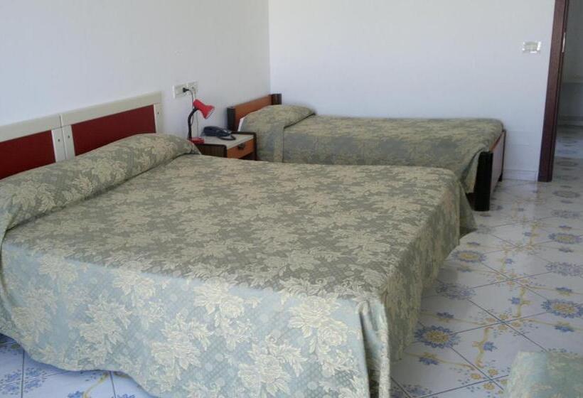 فندق Central Park