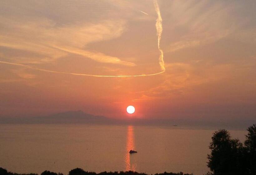 فندق Central Park