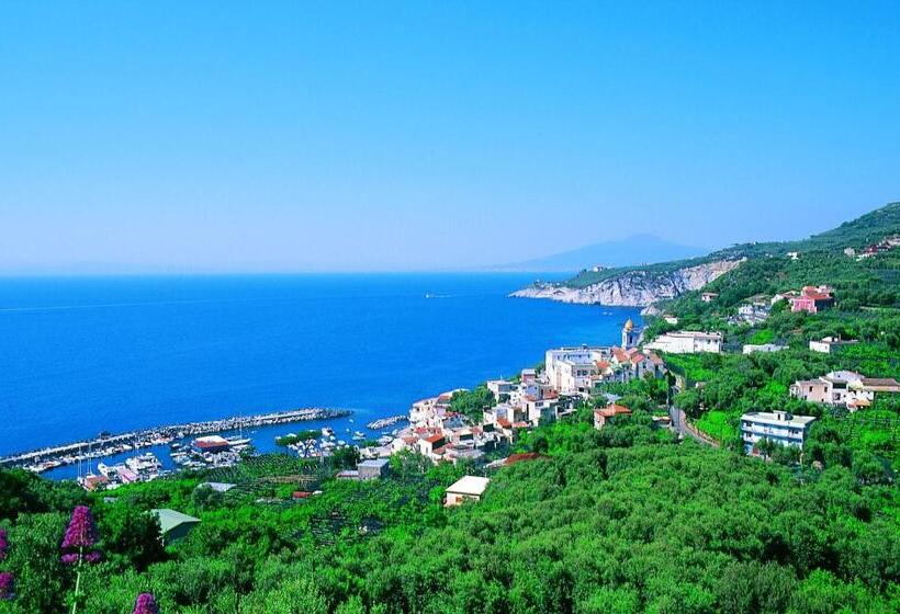 فندق Central Park