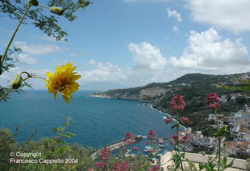 فندق Central Park