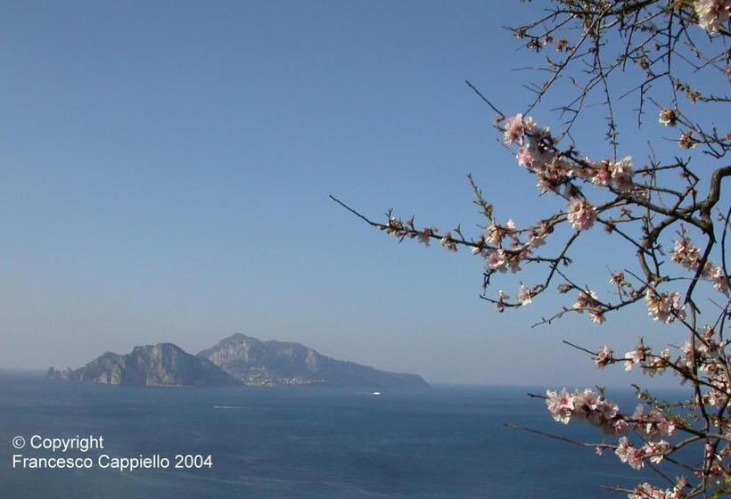 فندق Central Park