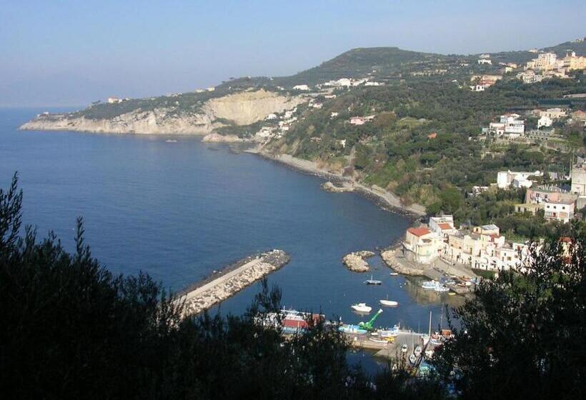 فندق Central Park