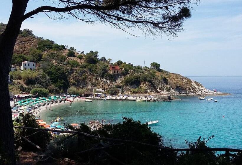 호텔 Cernia Isola Botanica